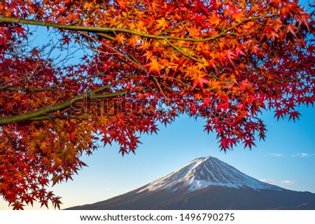 Aerial Skyline Landscape of Fuji Mountain with Beautiful Autumn Leaves. Iconic and Symbolic Mountain of Japan. Scenic Sunset Landscape of Fujisan at Evening Time, Kawaguchiko, Yamanashi, Japan.