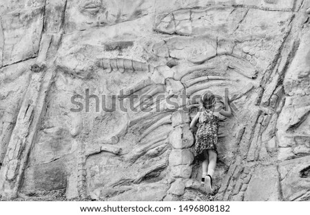 Child climbing dinosaur fossil wall