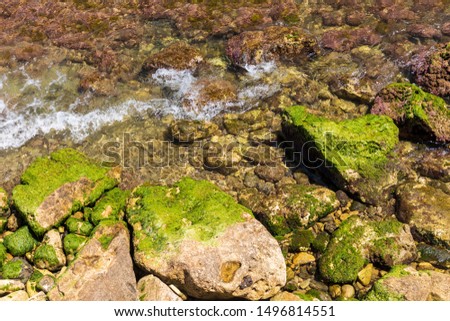 Sea water lapping on moss-covered rocks.
