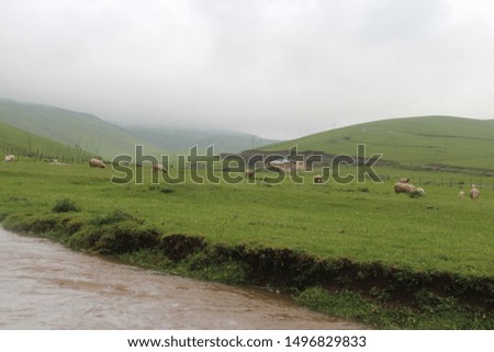Plateau air and animals grazing on meander edges.