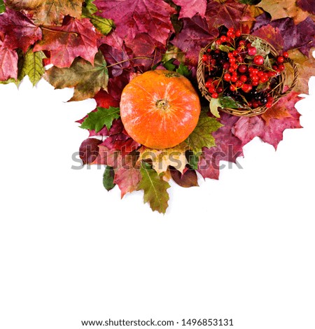 Background of fallen autumn leaves with pumpkin and basket of berries isolated on a white background. Top view.