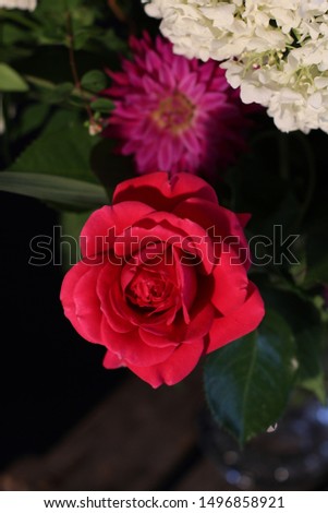 Beautiful English pink rose with a white hydrangea and a purple daisy in a glass vase. Picture taken from above on a wooden crate.