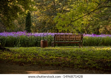 loneliness and sorrow mood picture of park outdoor nature landscaping with with green foliage wooden bench alley way and purple flower bed