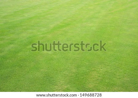 Green grass background texture tilted 