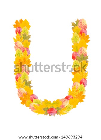 Alphabet made from autumn falling leaves. Letter U, high resolution