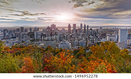 Montreal downtown with colourful autumn season leaves
