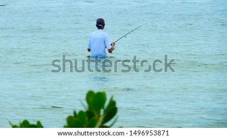 Fisherman wading in the coastal shallows