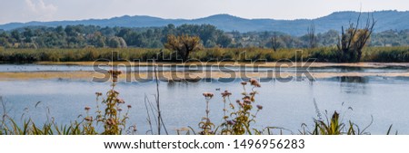 wide landscape of Italian lake Posta Fibreno nature reserve in the Lazio region in late summer