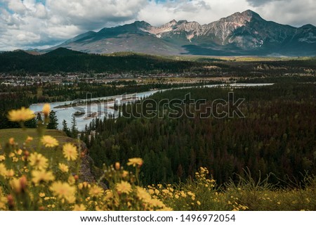 Picture of Jasper town, Athabasca river with Pyramid mountain in the background and yellow flowers in the front from Old Fort Point lookout, Jasper National Park, Alberta, Canada