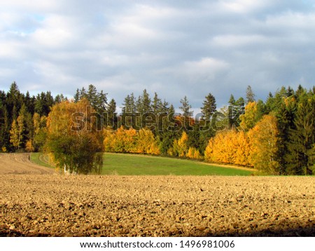 beautiful colorful autumn landscape, meadow, harvested field and forest edge, dramatic clouds