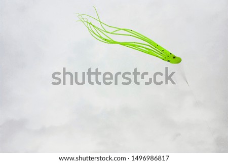 Kites in the cloudy sky with clouds Royalty-Free Stock Photo #1496986817