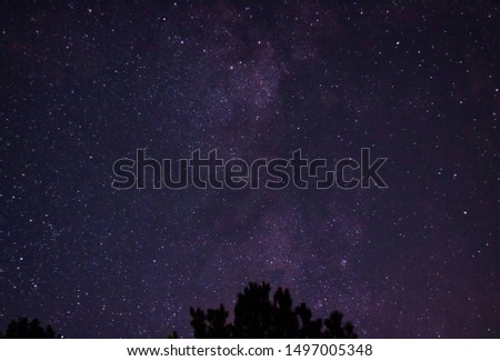 Milky Way Over Trees in Virginia
