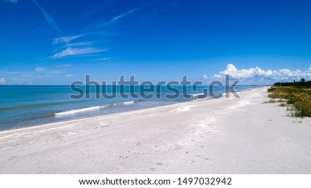 Beach View with Mangroves in Captiva Island, FL