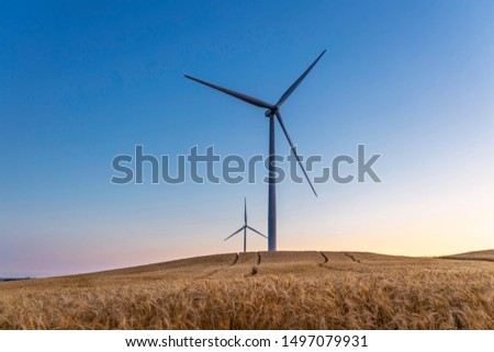 Two wind turbines rotate around generating energy in the middle of a wheat field.  Wind farms, are becoming an increasingly important source of intermittent renewable energy  Royalty-Free Stock Photo #1497079931