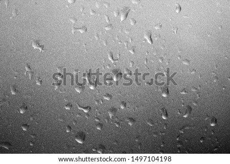 summer rain, drops of water on the car paint. a small round or pear-shaped portion of liquid that hangs or falls or adheres to a surface.