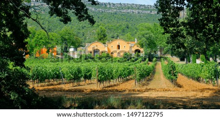 mediterranean estate vineyard in the south of france 