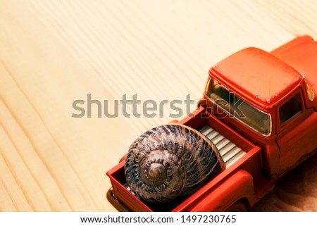 Shell of a snail on a toy truck on a wooden table with space for text images for delivery or transport of edible snails (Helix Aspersa Muller, Maxima) 