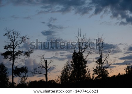 dramatic sunset at greenwater lake provincial park saskatchewan with the silhouette of trees against the night sky 1