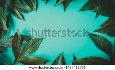 foliage on a blue background, place for text