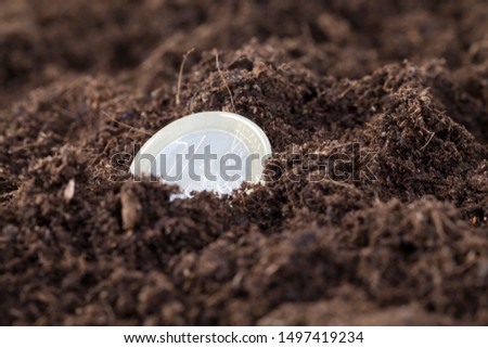 planted in fertile soil coins of one European euro, a close-up of this European coins, the concept of agriculture