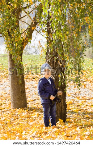 the boy walks in the Park in the autumn season, the child stands on the fallen yellow leaves and is preparing to take pictures in the hands of the camera