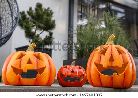 Halloween pumpkins. Scary faces. Halloween holiday. Pumpkins in the garden.