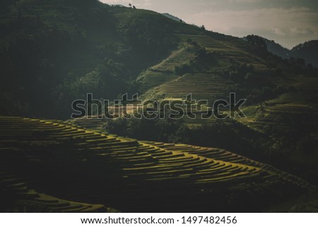 Mu Cang Chai rice fields, terraced rice paddies in Vietnam, near Sa Pa