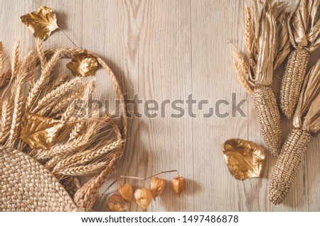 Hello Autumn. Golden corn and wheat with autumn leaves in sunny light. Bright Fall image. Harvest time. Happy Thanksgiving