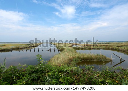 Rosolina (Ro), Italy,Delta of the river Po, view of the fishing valleys