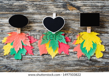 Three types of chalk notebooks with colored paper autumn leaves on a textured or old tree. Autumn concept. Fall season banner template. Top view, flat lay, copy space.