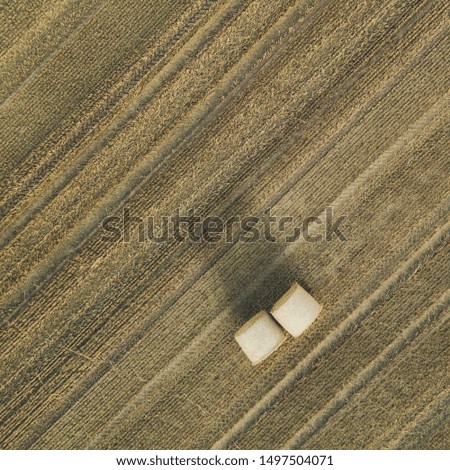 Beautiful ariel view of harvested cropfield, shot with a drone.