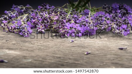 Close up of beautiful fresh lavender flowers arranged in row on old rough textured natural wooden surface.  Selective focus. Unfocused foreground. Horizontal background with large copy space.