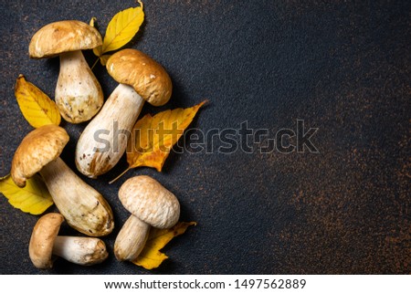 Autumn background with mushrooms and leaves. Mushroom boletus on dark table. Autumnal composition with cep mushrooms boletus on rustic background close up. Cooking mushroom, copy space
