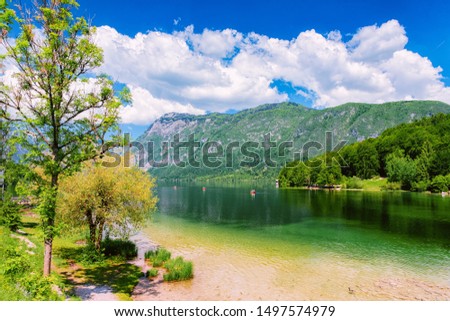 Scenery on Bohinj Lake, Slovenia. Nature in Slovenija. View of green forest and blue water. Beautiful landscape in summer. Alpine Travel destination. Julian Alps mountains on scenic background