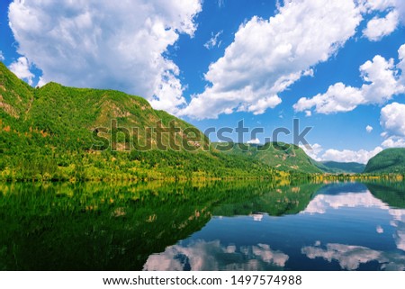 Scenery on Bohinj Lake of Slovenia. Nature in Slovenija. View of green forest and blue water. Beautiful landscape in summer. Alpine Travel destination. Julian Alps mountains on scenic background