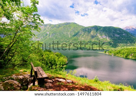 Bench at Bohinj Lake of Slovenia. Nature in Slovenija. Scenery view of green forest and blue water. Beautiful landscape in summer. Alpine Travel destination. Julian Alps mountains on scenic background
