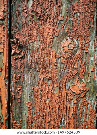 closeup of oxide orange pealing paint on grainy wood surface historic building romania