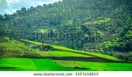 Fertile green land of Morocco, Africa. Green agriculture fields environment with farm house and olive trees growing