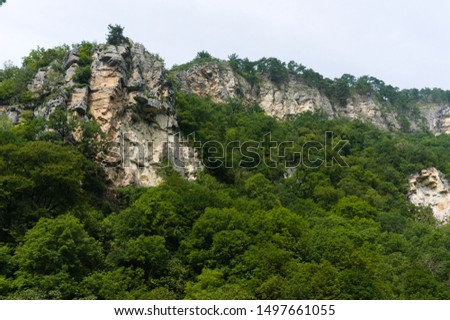 View of mountain forest trees and dramatic heavy blue sky. Natural landscape with sunny background. Green wood forest with clouds scenery. Russian nature, Sochi