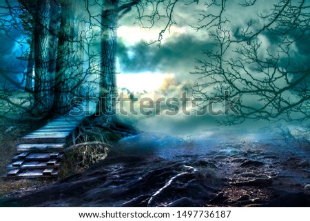 Halloween background. Enchanted forest in the night and dramatic sky.