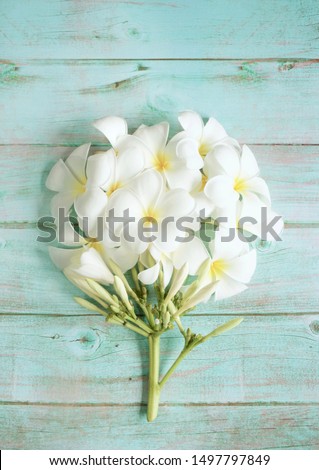 Frangipani flowers bouquet on rustic vintage blue wooden table with copy space. Top view