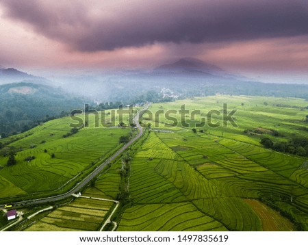 natural kindahan Indonesia with rice and rice fields is also a high mountain in Indonesia