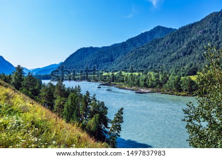 View of Katun river and mountain valley in summer. Chemalsky district, Altai Republic, southern Siberia, Russia