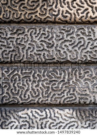 Stone labyrinths.
Wall of one of the doors of Paris in Strasbourg-Saint-Denis. 
