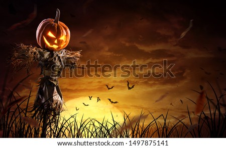 halloween pumpkin scarecrow on a wide field with the moon on a scary night.