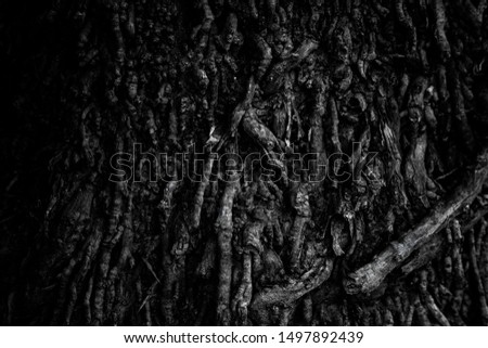 Seamless tree bark texture. Endless wooden background for web page fill or graphic design. 