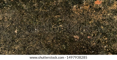 Old plaster background with mold on rainy backgrounds
