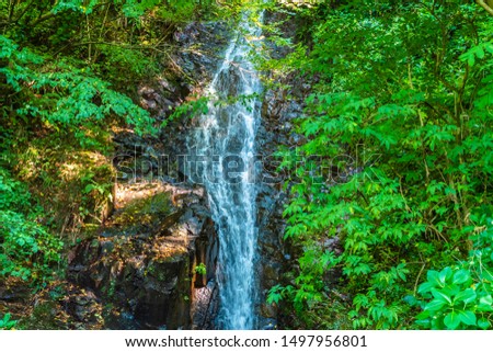 Waterfall in deep forest, beautiful scenery
