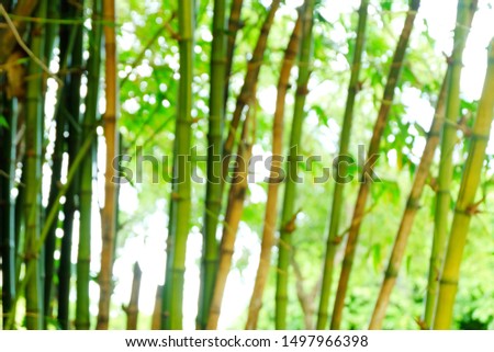 Green natural background and very fresh scenery 