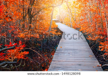 Background for Red Autumn Forest Pathway Beautiful Park Scenery Photography Backdrop Sunny Fall Leaf Road Outdoors Holiday Travel Romantic Artistic Photo Studio Props Wallpaper